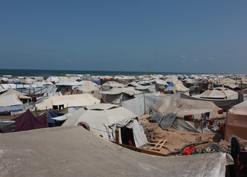 Testimony from Gaza: Increasing numbers of rodents are threatening the health of local people, says a doctor in an interview for Caritas Internationalis
