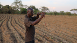 Farmář Everisto se v Zambii potýká se suchem způsobeným klimatickou krizí. Charita Česká republika mu pomohla se s problémy vypořádat