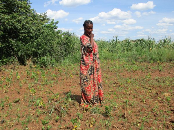 El Niño will bring droughts as well as heavy rainfall